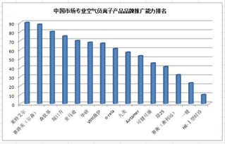 中國(guó)市場(chǎng)專業(yè)空氣負(fù)離子（負(fù)氧離子）產(chǎn)品市場(chǎng)調(diào)研報(bào)告